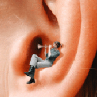 Niacin to helping Rining Ear and Hearing Health